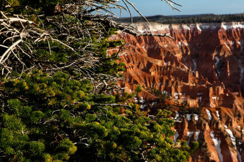 Cedar Breaks