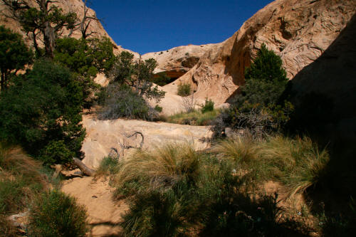 Wild Horse Window Approach