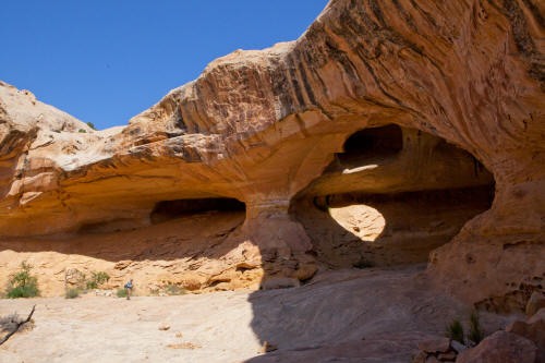 Wild Horse Window