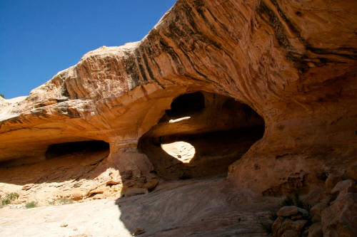 Wild Horse Window