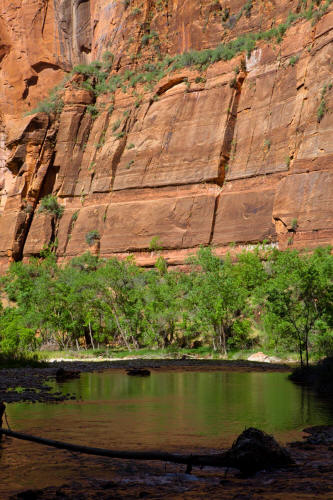 Zion Narrows