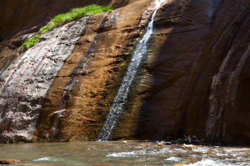 Zion Narrows