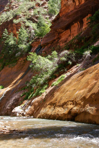 Zion Narrows