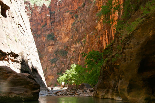 Zion Narrows