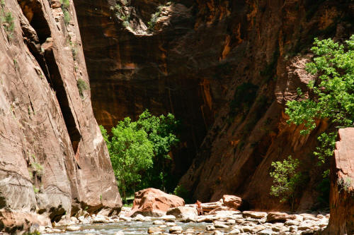 Zion Narrows