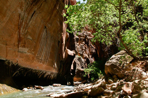 Zion Narrows