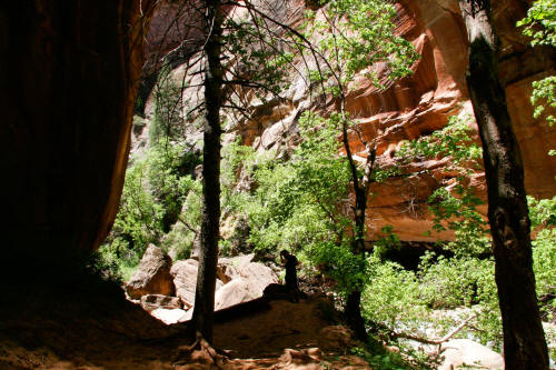 Zion Narrows