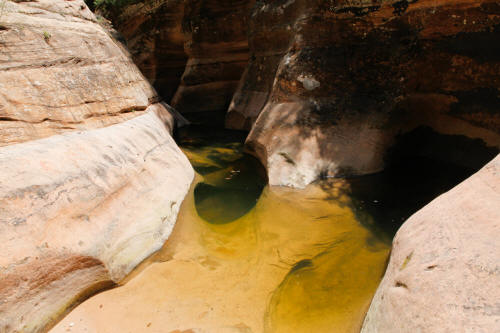 Upper Clear Creek