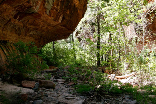 Upper Clear Creek