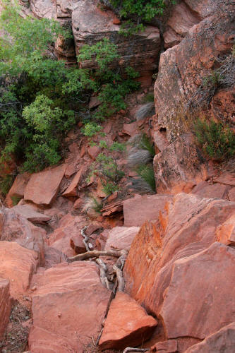 Zion Subway Route Approach