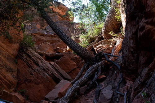 Zion Subway Route Approach